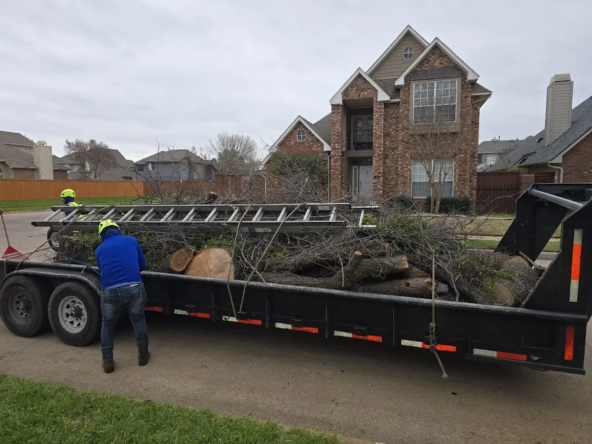 Expert Tree Fertilization with proper safety equipment in Winchester